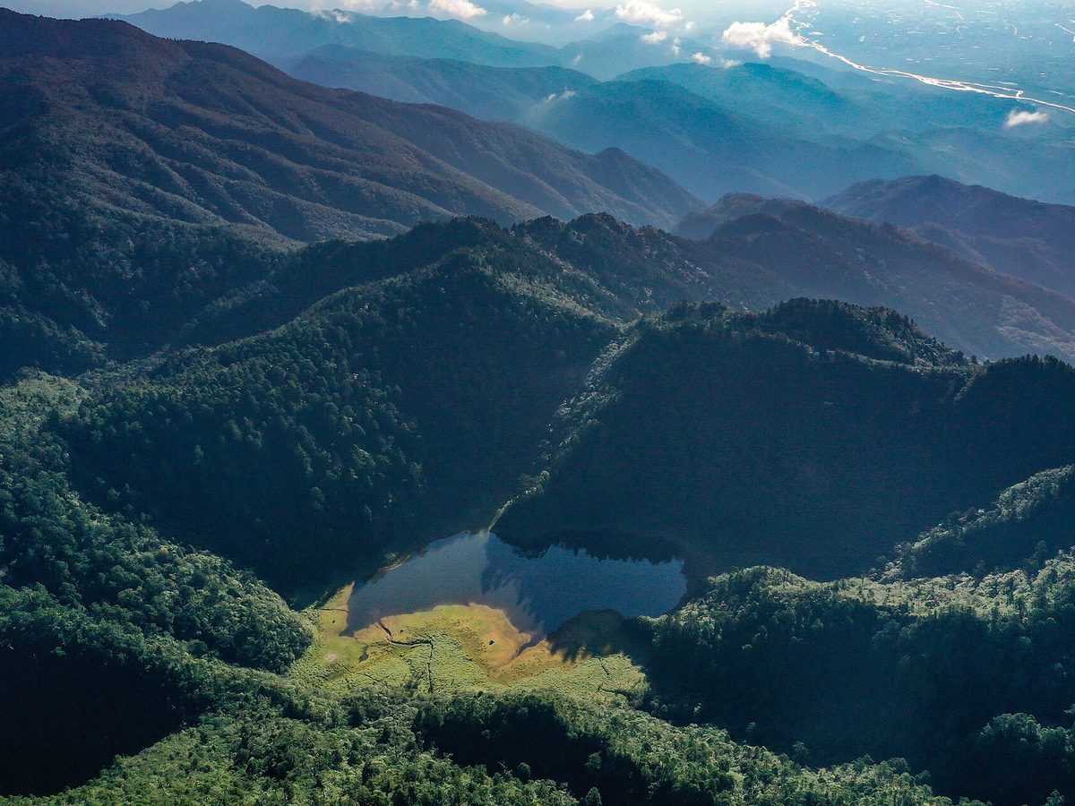 Song Luo tea — loose leaves